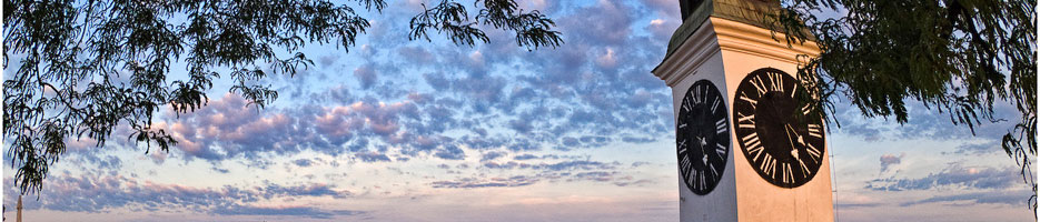 Baner 2