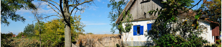 Baner 3
