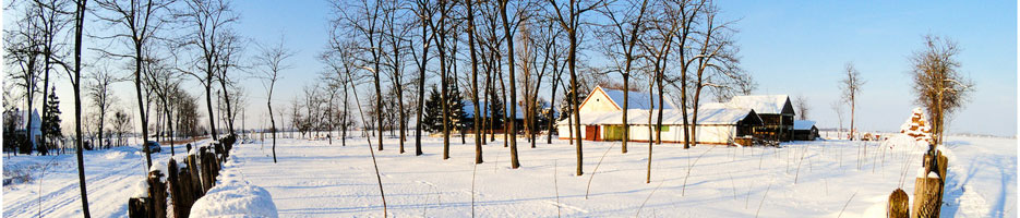 Baner 4