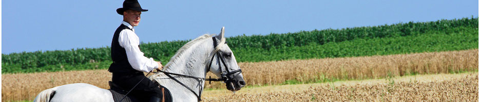 Baner 5