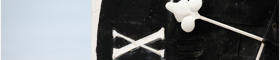 Baner 6