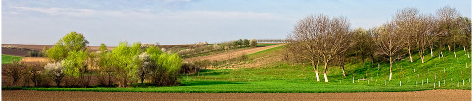 Baner 7